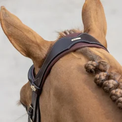 LeMieux Kudos Competition Flash Bridle