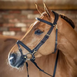 LeMieux Kudos Work Bridle