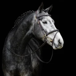 LeMieux Kudos Work Bridle