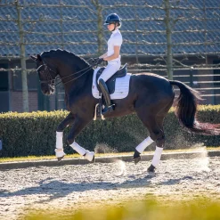 LeMieux Loire Classic Dressage Square Saddle Pad