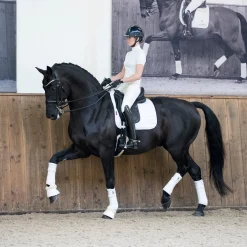 LeMieux Loire Classic Dressage Square Saddle Pad