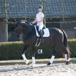 LeMieux Loire Classic Dressage Square Saddle Pad