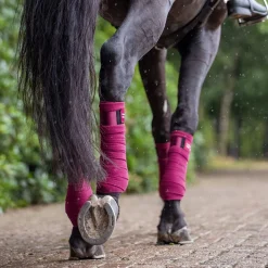 LeMieux Loire Polo Wraps