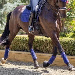 LeMieux Loire Polo Wraps