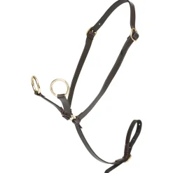 LeMieux Toy Pony Martingale