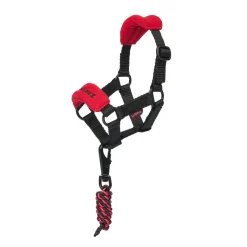 LeMieux Toy Pony Vogue Halter & Lead