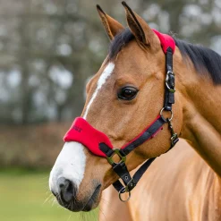 LeMieux Vogue Halter & Lead Rope