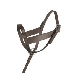 Jack's Lexington Foal Halter