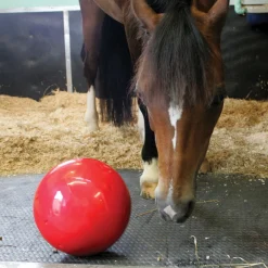 Likit Snak A Ball Complete Horse Toy