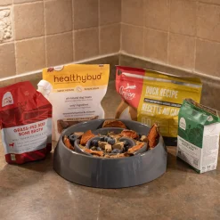 Messy Mutts Interactive Slow Feeder Dog Bowl