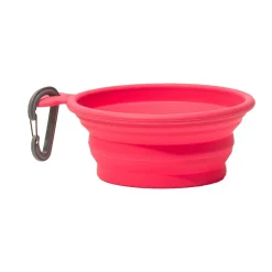 Messy Mutts Silicone Collapsible Bowl