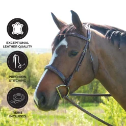 Mondega Coretto Wide Noseband Hunter Bridle