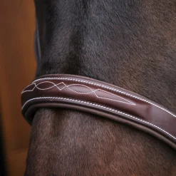 Mondega Coretto Wide Noseband Hunter Bridle