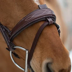 Mondega Liberica Fancy Stitched Hunter Bridle