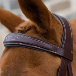 Mondega Liberica Fancy Stitched Hunter Bridle