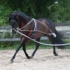 Mondega Lunging System