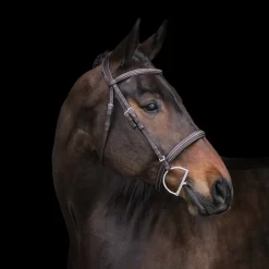 Mondega Marocchino Hunter Bridle