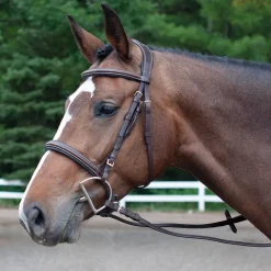 Mondega Marocchino Hunter Bridle