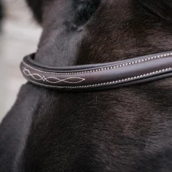 Mondega Marocchino Hunter Bridle