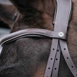 Mondega Marocchino Hunter Bridle