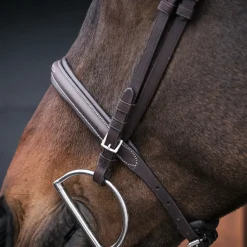 Mondega Marocchino Hunter Bridle
