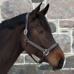 Mondega Raised Fancy Stitched Halter