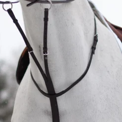 Mondega Running Martingale