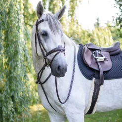 Mondega Standing Martingale