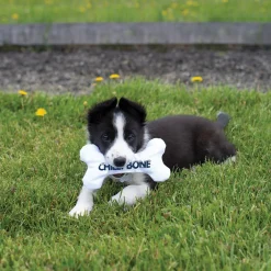 Multipet Chilly Bones Puppy Teething Toy 18 cm