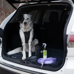 Muttluks MuTTravel Bottle