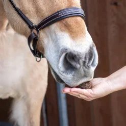 Nickers Original Muffins Horse Treats