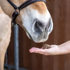 Nickers Original Muffins Horse Treats