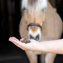 Nickers Original Muffins Horse Treats