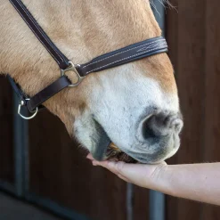 Nickers Original Muffins Horse Treats