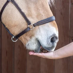 Nickers Original Muffins Horse Treats