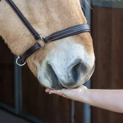 Nickers Original Muffins Horse Treats