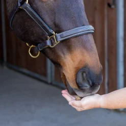 Nickers Training Treats Horse Treats