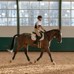 Nikara Altus Technical Show Breech