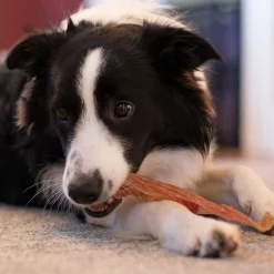 Open Range Pet Treats Open Range Beef Tendon Dog Chew 12 cm