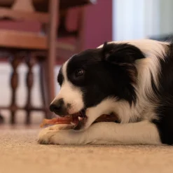 Open Range Pet Treats Open Range Beef Tendon Dog Chew 12 cm