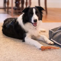 Open Range Pet Treats Open Range Beef Tendon Dog Chew 12 cm