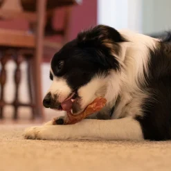 Open Range Pet Treats Open Range Beef Tendon Dog Chew 12 cm