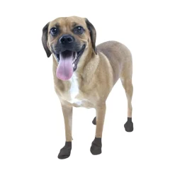 Pawz Dog Boots