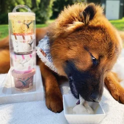 Puppy Cake Puppy Scoops Four Flavour Sample Pack