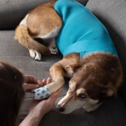 RC Pet Products RC Pet At Ease Calming Vest