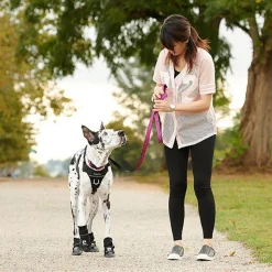 RC Pet Products RC Pet Momentum Control Harness