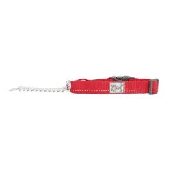 RC Pet Products RC Pet Primary Training Clip Collar