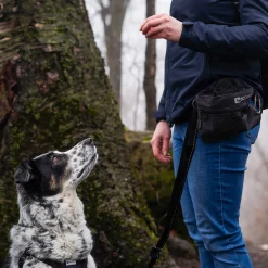 RC Pet Products RC Pet Quick Grab Treat Bag