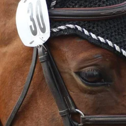 Shedrow Bridle Number