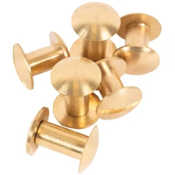 Shedrow Chicago Screws